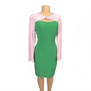 Kasper Green and Pink Long‎ Sleeve Women's Dress